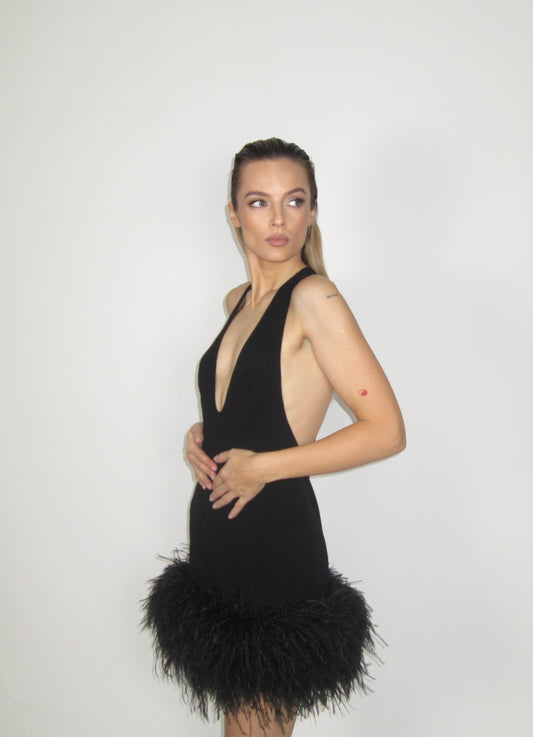 Trumpa suknelė su plunksnomis